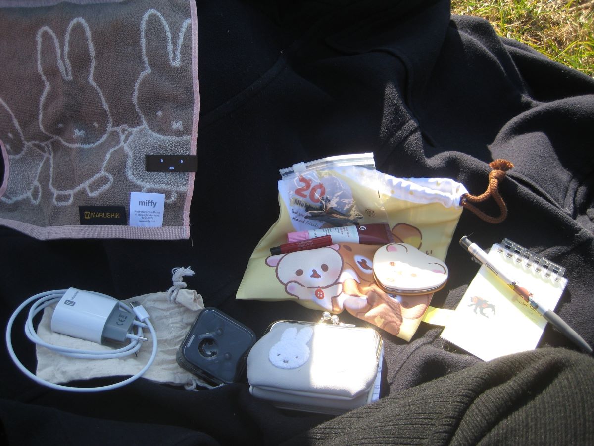 A snapshot of the contents of my bag.